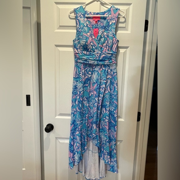 Lilly Pulitzer Blue and Pink Maxi Dress - Picture 2 of 6